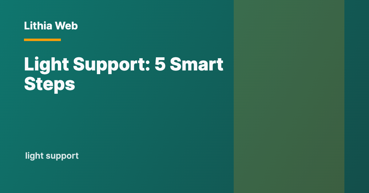 Light Support by Lithia Web
